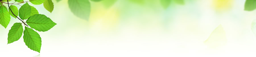 �u���E���V�F�[�o�[ �֐n�����Ή��\�ƈ����w��������@��O����